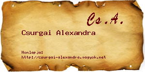 Csurgai Alexandra névjegykártya